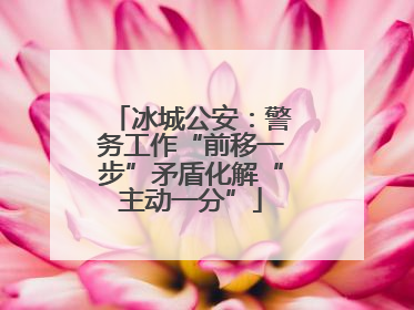 冰城公安：警务工作“前移一步”矛盾化解“主动一分”