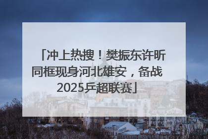 冲上热搜！樊振东许昕同框现身河北雄安，备战2025乒超联赛