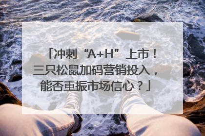 冲刺“A+H”上市！三只松鼠加码营销投入，能否重振市场信心？