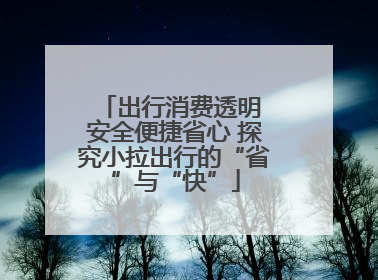 出行消费透明 安全便捷省心 探究小拉出行的“省”与“快”