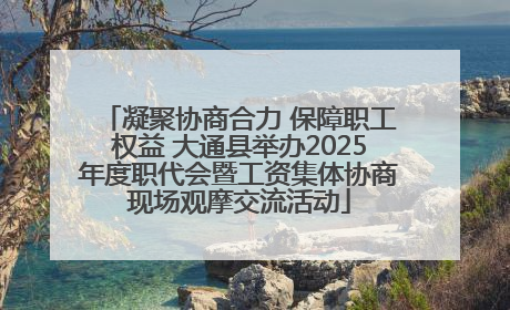 凝聚协商合力 保障职工权益 大通县举办2025年度职代会暨工资集体协商现场观摩交流活动
