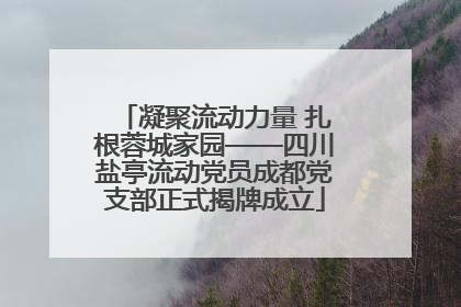 凝聚流动力量 扎根蓉城家园——四川盐亭流动党员成都党支部正式揭牌成立