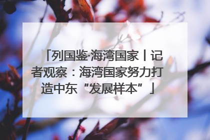 列国鉴·海湾国家丨记者观察：海湾国家努力打造中东“发展样本”