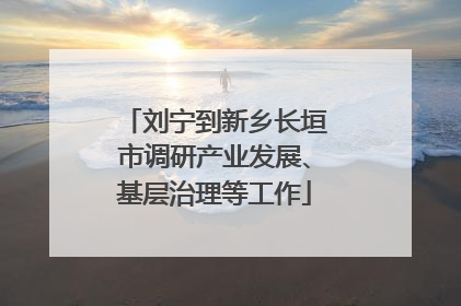刘宁到新乡长垣市调研产业发展、基层治理等工作