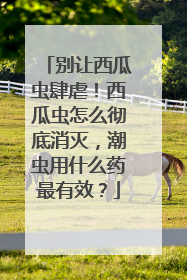 别让西瓜虫肆虐！西瓜虫怎么彻底消灭，潮虫用什么药最有效？
