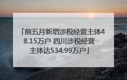 前五月新增涉税经营主体48.15万户 四川涉税经营主体达534.99万户