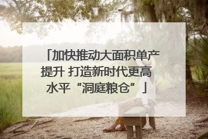 加快推动大面积单产提升 打造新时代更高水平“洞庭粮仓”