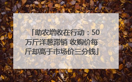 助农增收在行动：50万斤洋葱滞销 收购价每斤却高于市场价三分钱