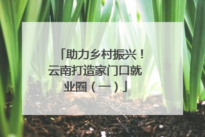 助力乡村振兴！云南打造家门口就业圈（一）