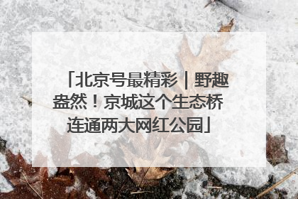 北京号最精彩｜野趣盎然！京城这个生态桥连通两大网红公园
