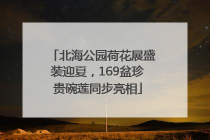 北海公园荷花展盛装迎夏，169盆珍贵碗莲同步亮相
