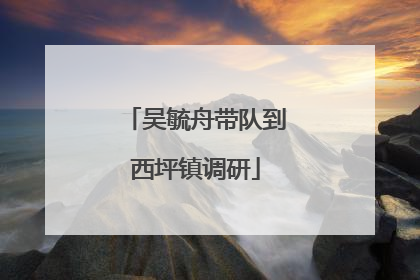 吴毓舟带队到西坪镇调研