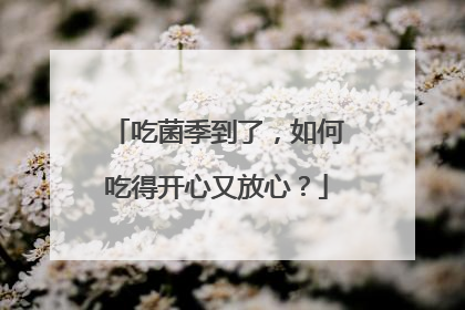 吃菌季到了，如何吃得开心又放心？