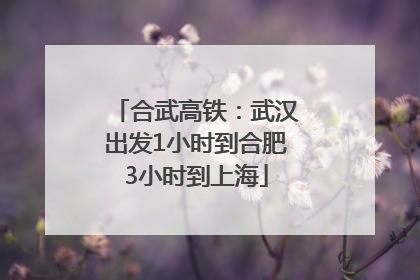 合武高铁：武汉出发1小时到合肥3小时到上海