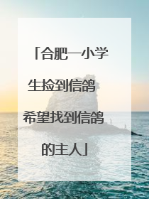 合肥一小学生捡到信鸽 希望找到信鸽的主人