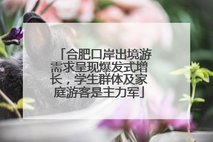 合肥口岸出境游需求呈现爆发式增长，学生群体及家庭游客是主力军