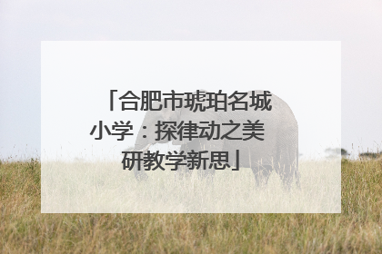 合肥市琥珀名城小学：探律动之美 研教学新思