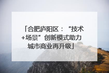 合肥庐阳区：“技术+场景”创新模式助力城市商业再升级