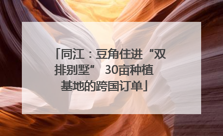同江：豆角住进“双排别墅” 30亩种植基地的跨国订单