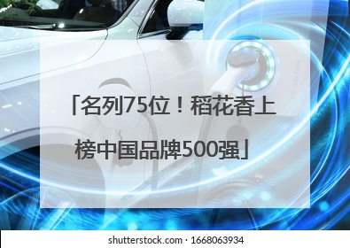 名列75位！稻花香上榜中国品牌500强