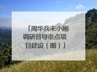 周华兵未小刚调研督导重点项目建设（图）