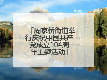 周家桥街道举行庆祝中国共产党成立104周年主题活动