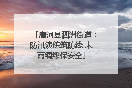 唐河县泗洲街道：防汛演练筑防线 未雨绸缪保安全