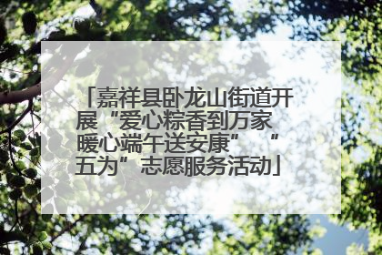 嘉祥县卧龙山街道开展“爱心粽香到万家 暖心端午送安康” “五为”志愿服务活动