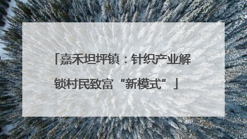 嘉禾坦坪镇：针织产业解锁村民致富“新模式”