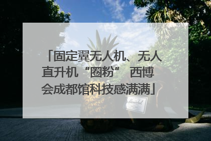 固定翼无人机、无人直升机“圈粉” 西博会成都馆科技感满满