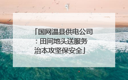 国网温县供电公司：田间地头送服务 治本攻坚保安全