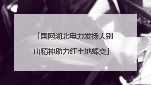国网湖北电力发扬大别山精神助力红土地蝶变
