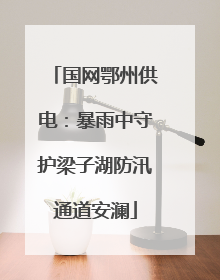 国网鄂州供电：暴雨中守护梁子湖防汛通道安澜