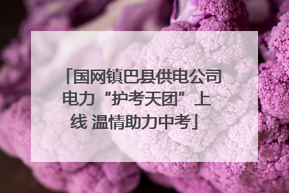 国网镇巴县供电公司 电力“护考天团”上线 温情助力中考