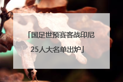 国足世预赛客战印尼25人大名单出炉