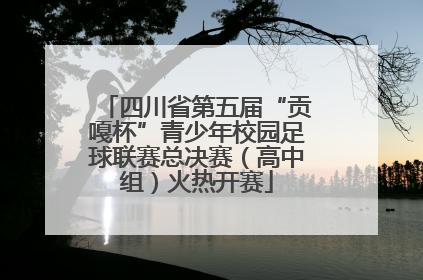 四川省第五届“贡嘎杯”青少年校园足球联赛总决赛（高中组）火热开赛