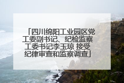 四川绵阳工业园区党工委副书记、纪检监察工委书记李玉琼 接受纪律审查和监察调查