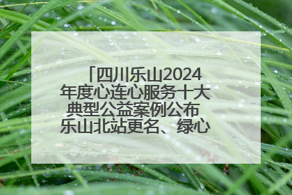 四川乐山2024年度心连心服务十大典型公益案例公布 乐山北站更名、绿心路井盖治理等上榜