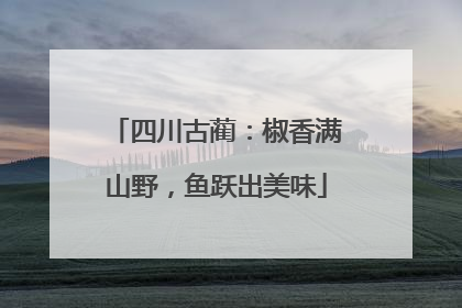 四川古蔺：椒香满山野，鱼跃出美味