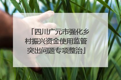 四川广元市强化乡村振兴资金使用监管突出问题专项整治
