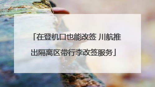 在登机口也能改签 川航推出隔离区带行李改签服务
