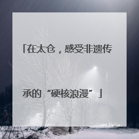 在太仓，感受非遗传承的“硬核浪漫”