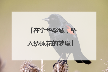 在金华婺城，坠入绣球花的梦境