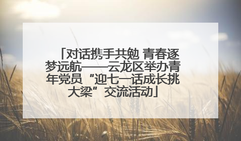 对话携手共勉 青春逐梦远航——云龙区举办青年党员“迎七一话成长挑大梁”交流活动