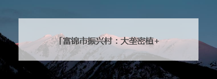 富锦市振兴村：大垄密植+全程托管走出增收新路径