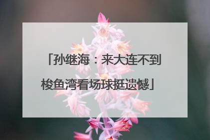 孙继海：来大连不到梭鱼湾看场球挺遗憾
