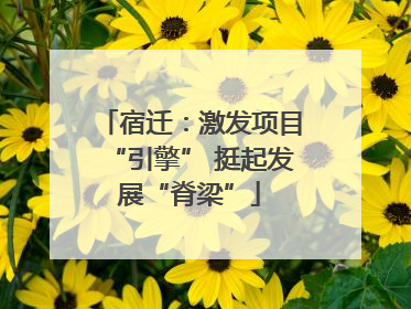 宿迁：激发项目“引擎” 挺起发展“脊梁”
