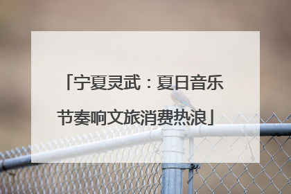 宁夏灵武：夏日音乐节奏响文旅消费热浪