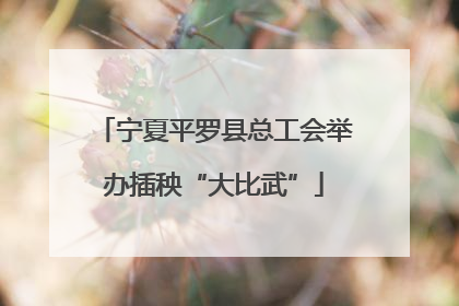 宁夏平罗县总工会举办插秧“大比武”