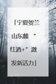宁夏贺兰山东麓 “红酒+”激发新活力